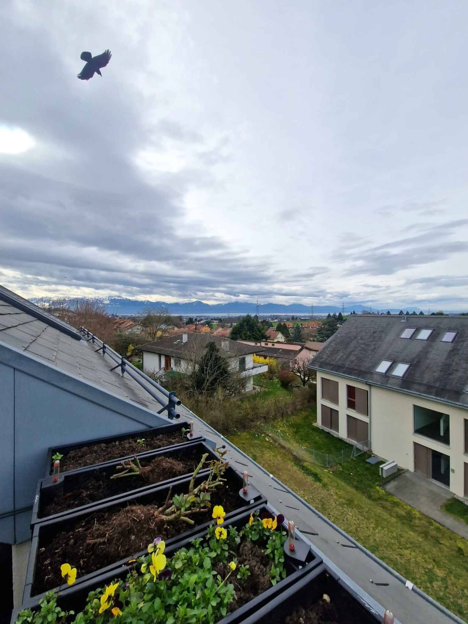 Image du bien